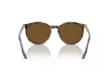 Ray-Ban Férfi, Női Barna Napszemüveg RB 2204 139357 51