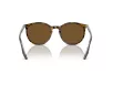 Ray-Ban Férfi, Női Barna Napszemüveg RB 2204 139357 54