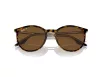 Ray-Ban Férfi, Női Barna Napszemüveg RB 2204 139357 54