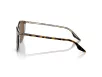 Ray-Ban Férfi, Női Barna Napszemüveg RB 2204 139357 54