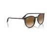 Ray-Ban Férfi, Női Barna Napszemüveg RB 2204 902/51