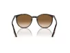 Ray-Ban Férfi, Női Barna Napszemüveg RB 2204 902/51
