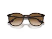 Ray-Ban Férfi, Női Barna Napszemüveg RB 2204 902/51