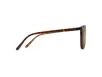 Maui Jim Ocean Női Barna Napszemüveg MJ H723 10A