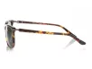 Gant Férfi Barna Napszemüveg GA 7055 52R